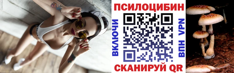 Галлюциногенные грибы прущие грибы  как найти закладки  Камышин 